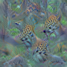 n02128757